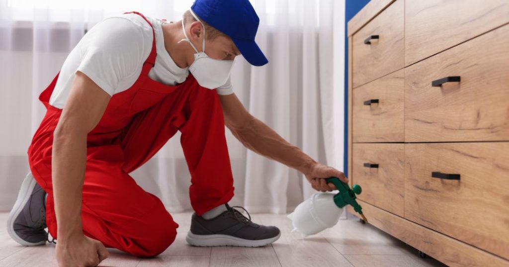 capa dedetizacao em Belém